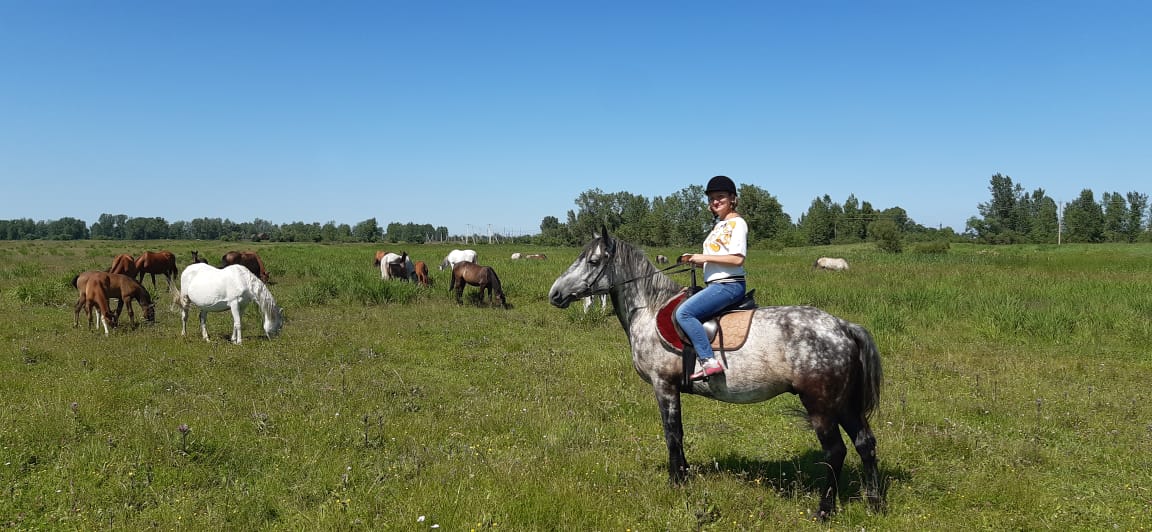 Золотая подкова — фото 2