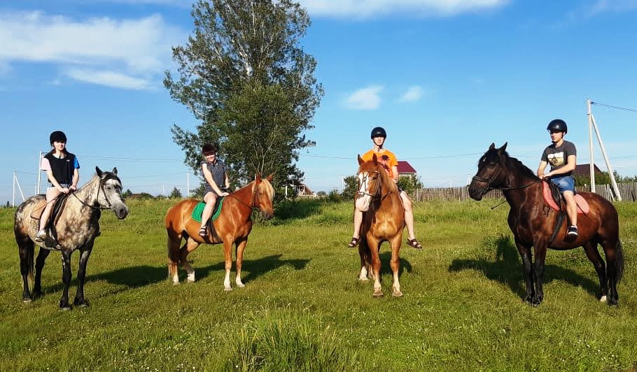 Золотая подкова — фото 1